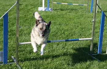 Jumping